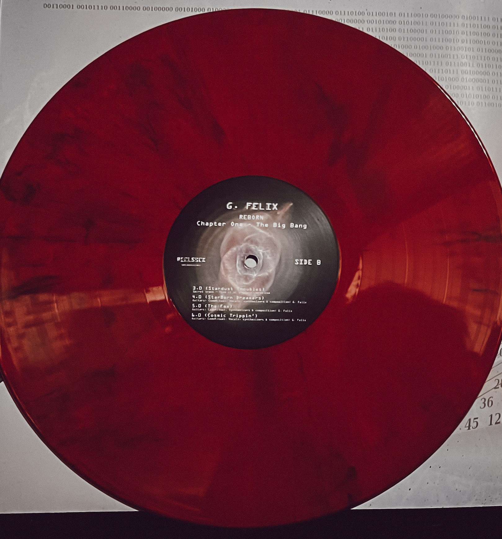 Reborn vinyl 2